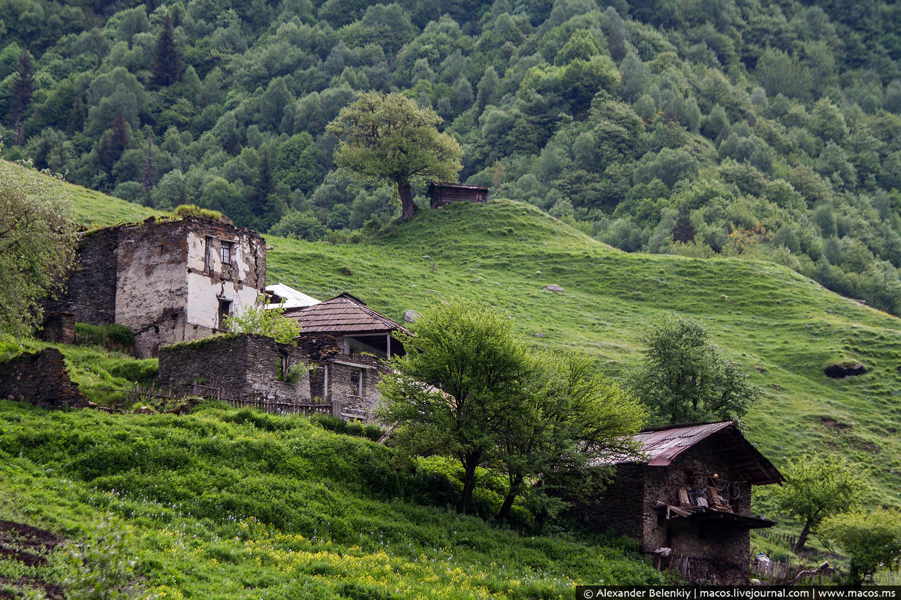 Wild region. Дманиси Грузия. Город Дманиси Грузия. Дманиси Квемо-Картли. Дманиси Грузия храм.