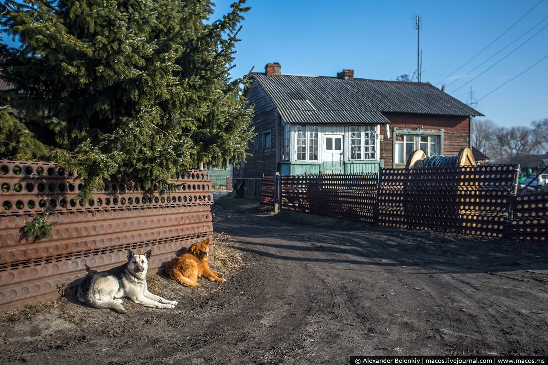 Как живут в самой западной точке России