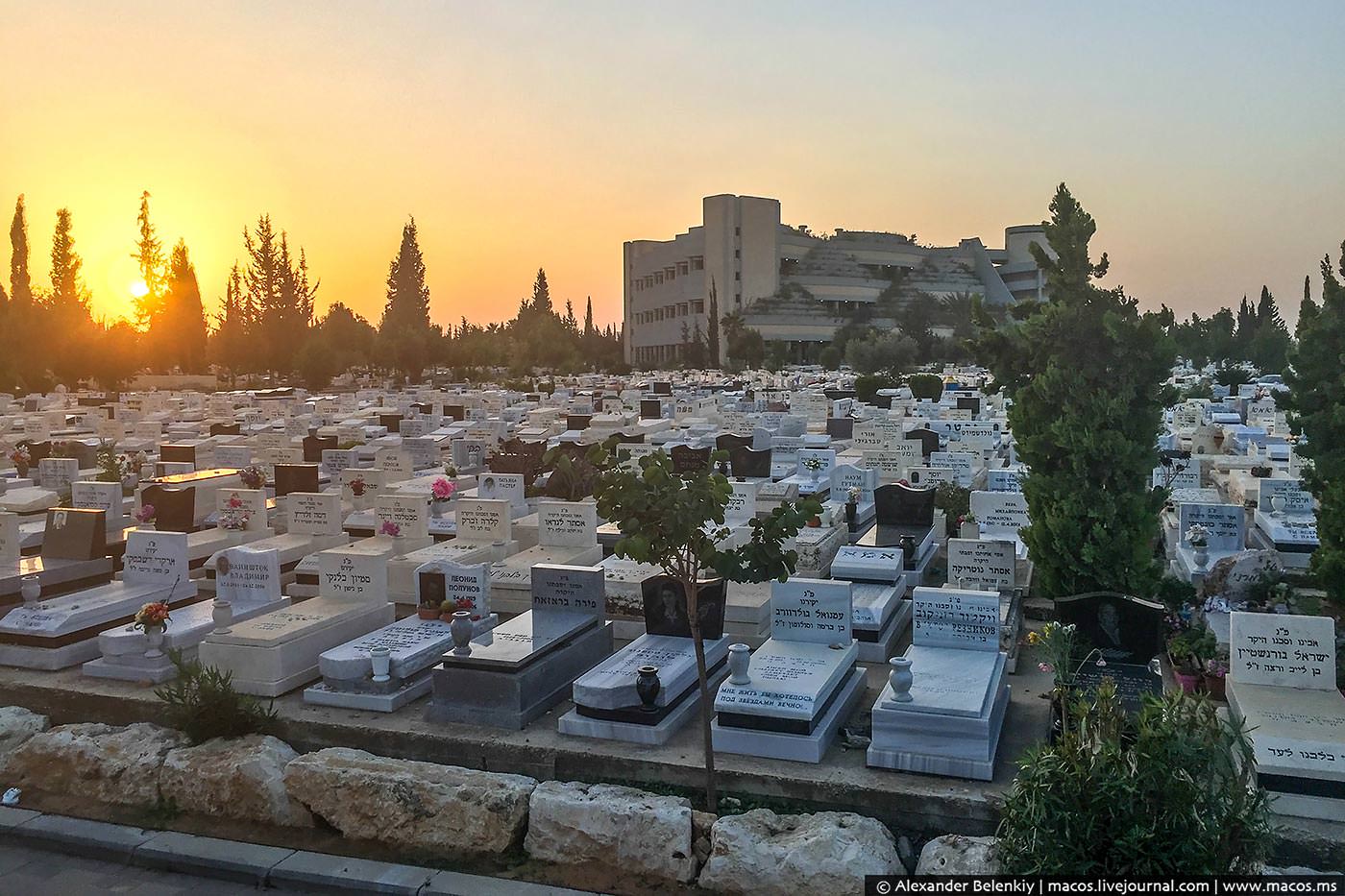 Кладбище в иерусалиме на горе масличной фото