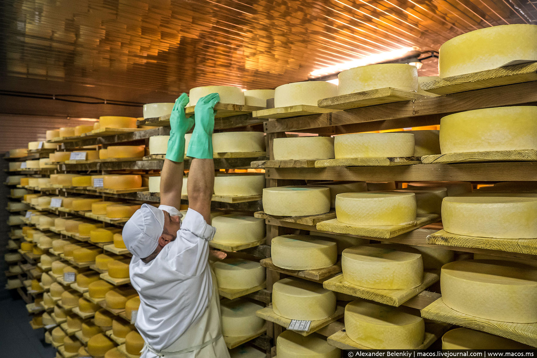 Parmesan Cheese Shortage